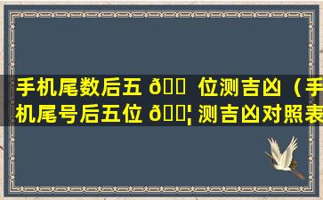 手机尾数后五 🐠 位测吉凶（手机尾号后五位 🐦 测吉凶对照表）